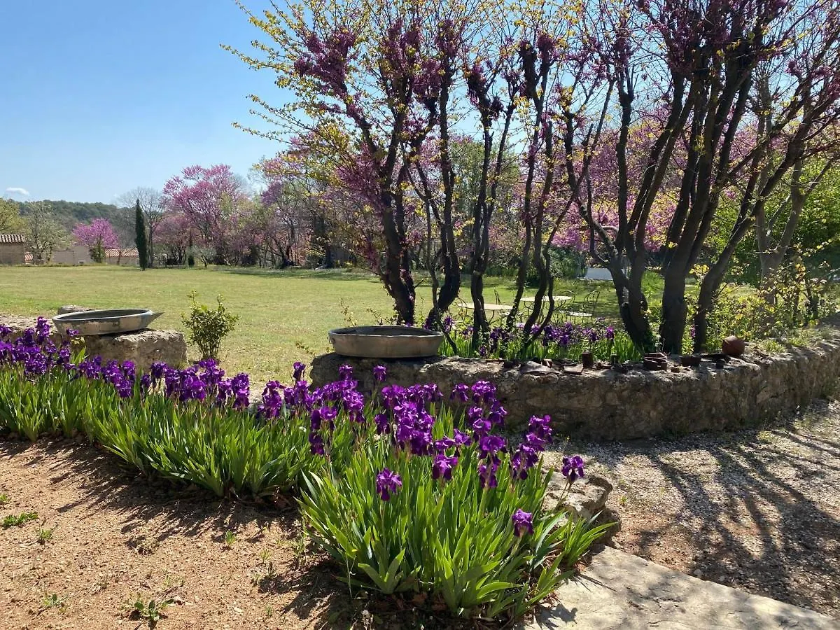 Campagne Salettes Villa Lorgues France